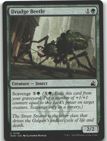 Drudge Beetle