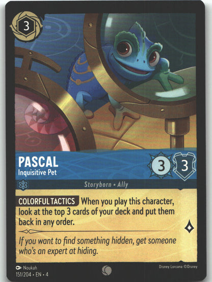Pascal - Inquisitive Pet