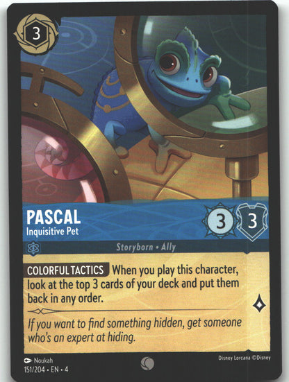 Pascal - Inquisitive Pet