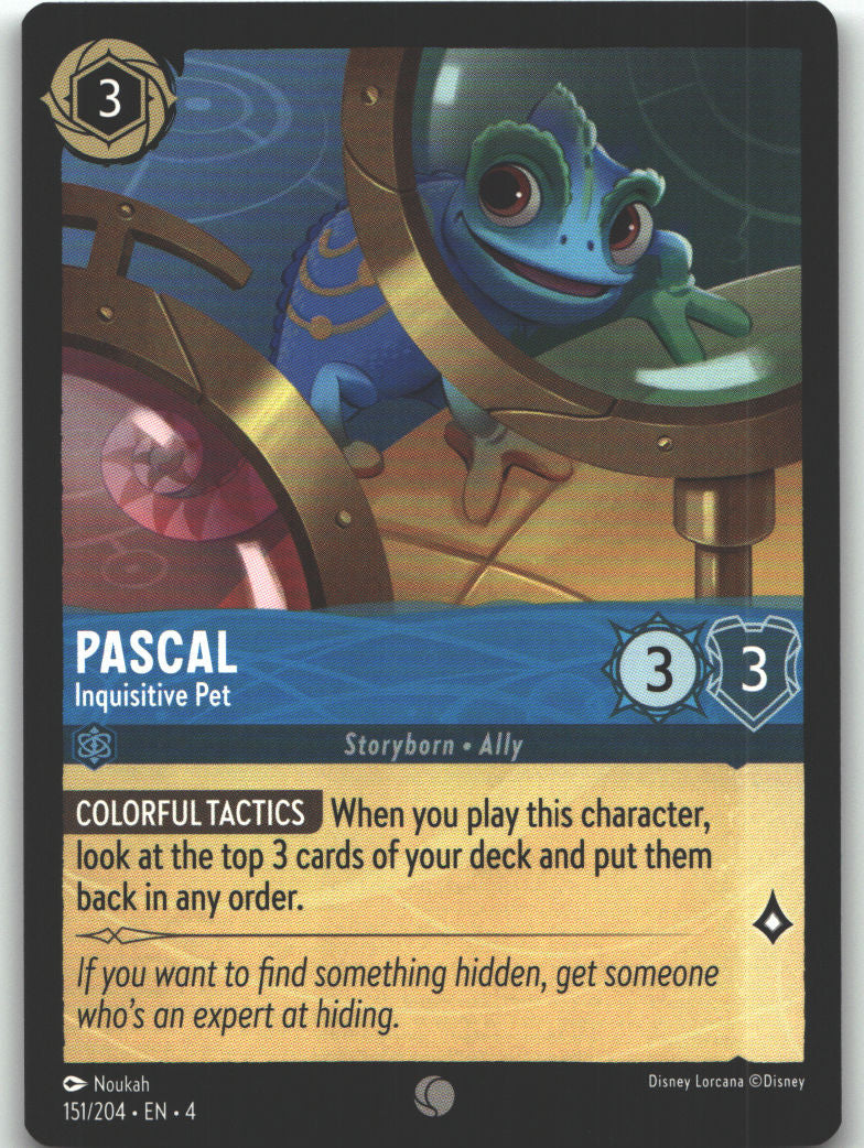 Pascal - Inquisitive Pet