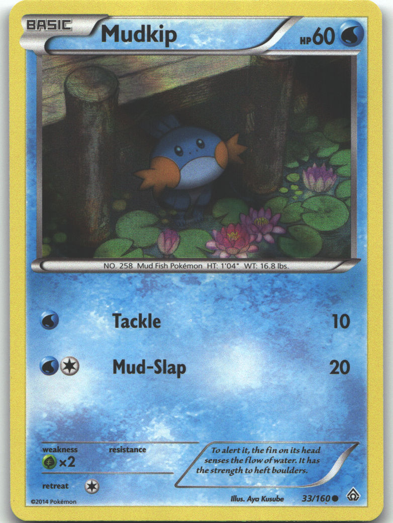 Mudkip - 33/160 (Sheen Holo)