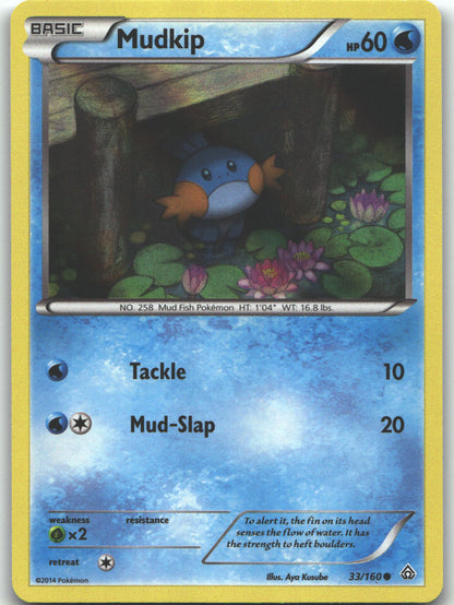 Mudkip - 33/160 (Sheen Holo)