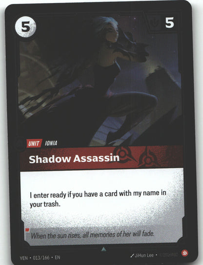 Shadow Assassin