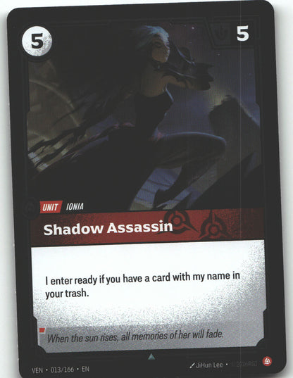 Shadow Assassin