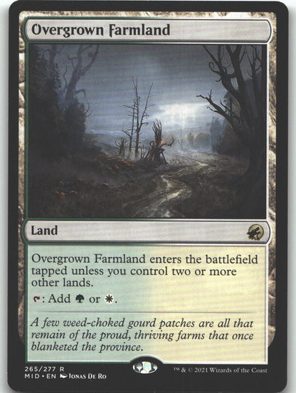 Overgrown Farmland