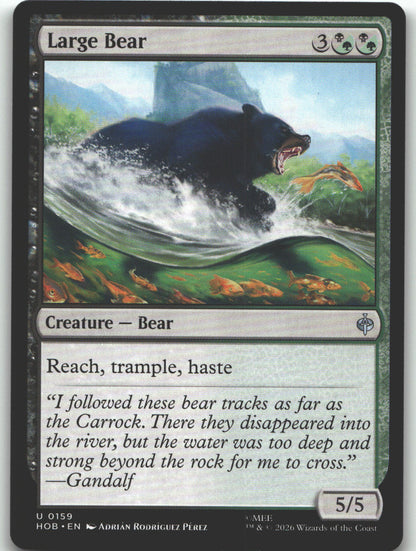 Large Bear