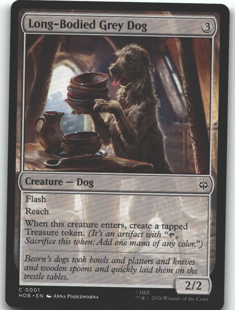 Long-Bodied Grey Dog