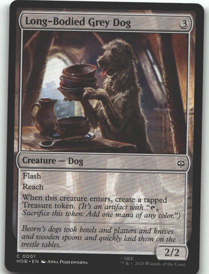 Long-Bodied Grey Dog