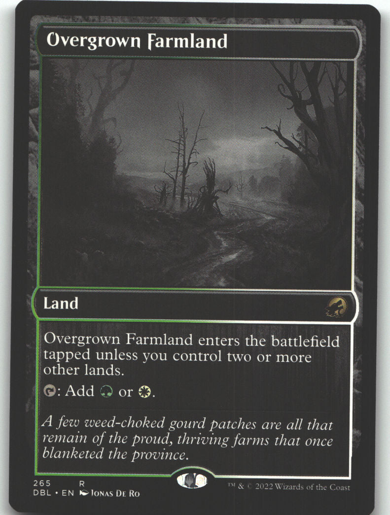 Overgrown Farmland