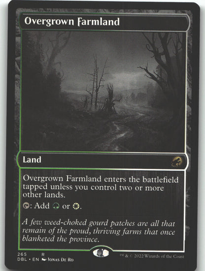 Overgrown Farmland