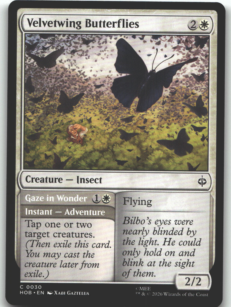 Velvetwing Butterflies