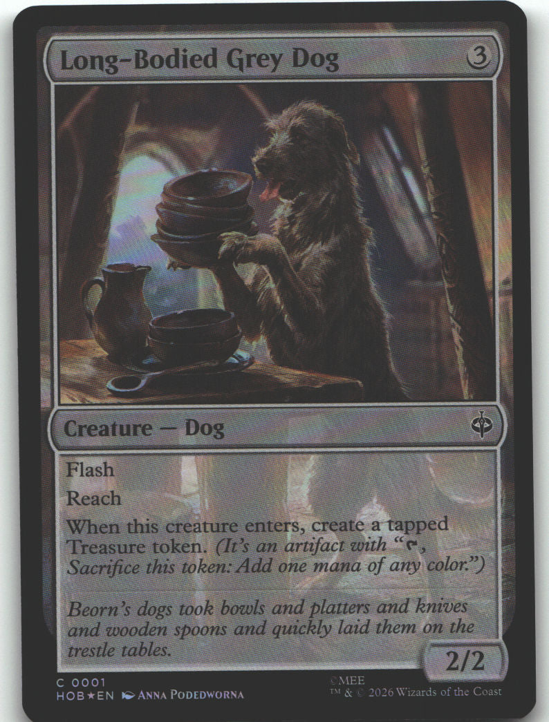 Long-Bodied Grey Dog