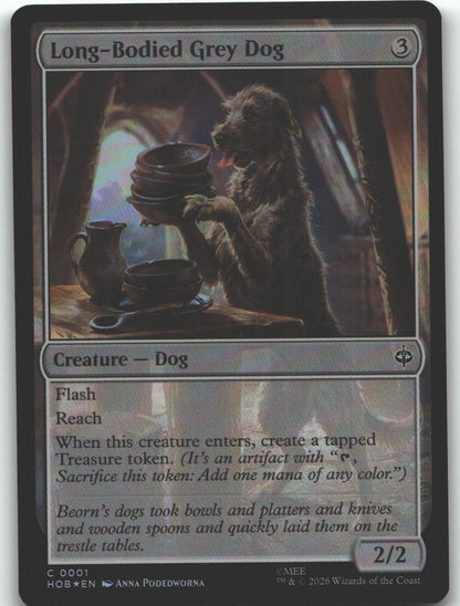 Long-Bodied Grey Dog