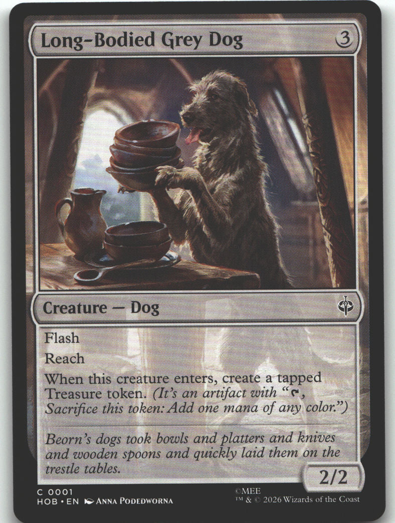 Long-Bodied Grey Dog