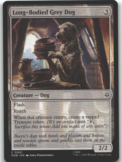 Long-Bodied Grey Dog