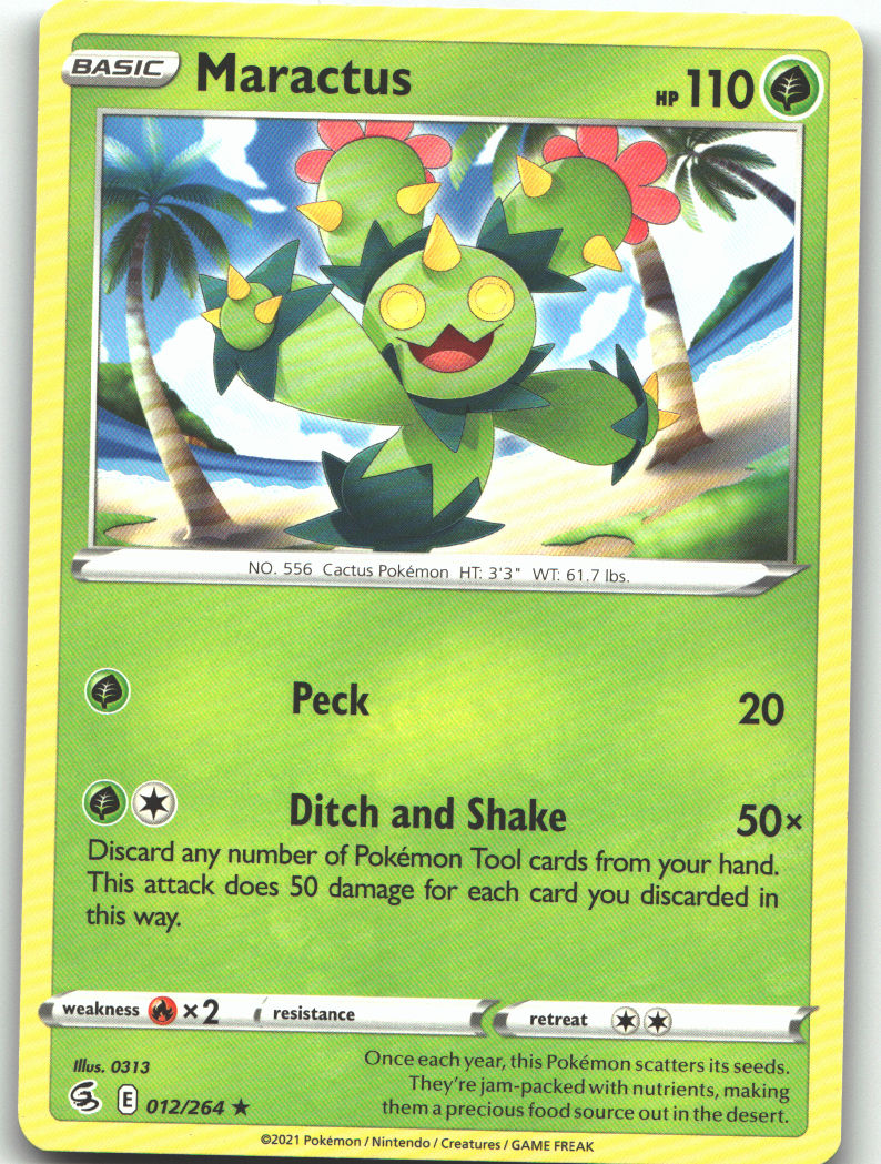 Maractus