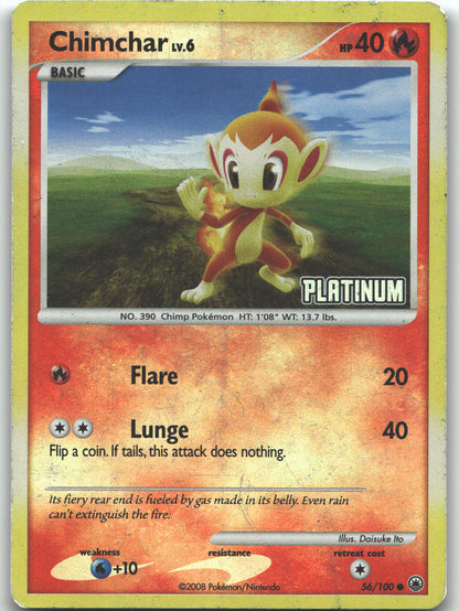 Chimchar (56)