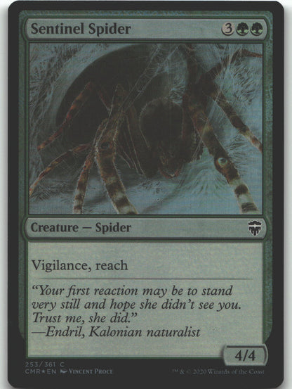 Sentinel Spider