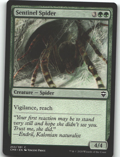 Sentinel Spider