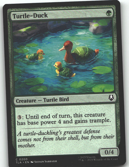 Turtle-Duck