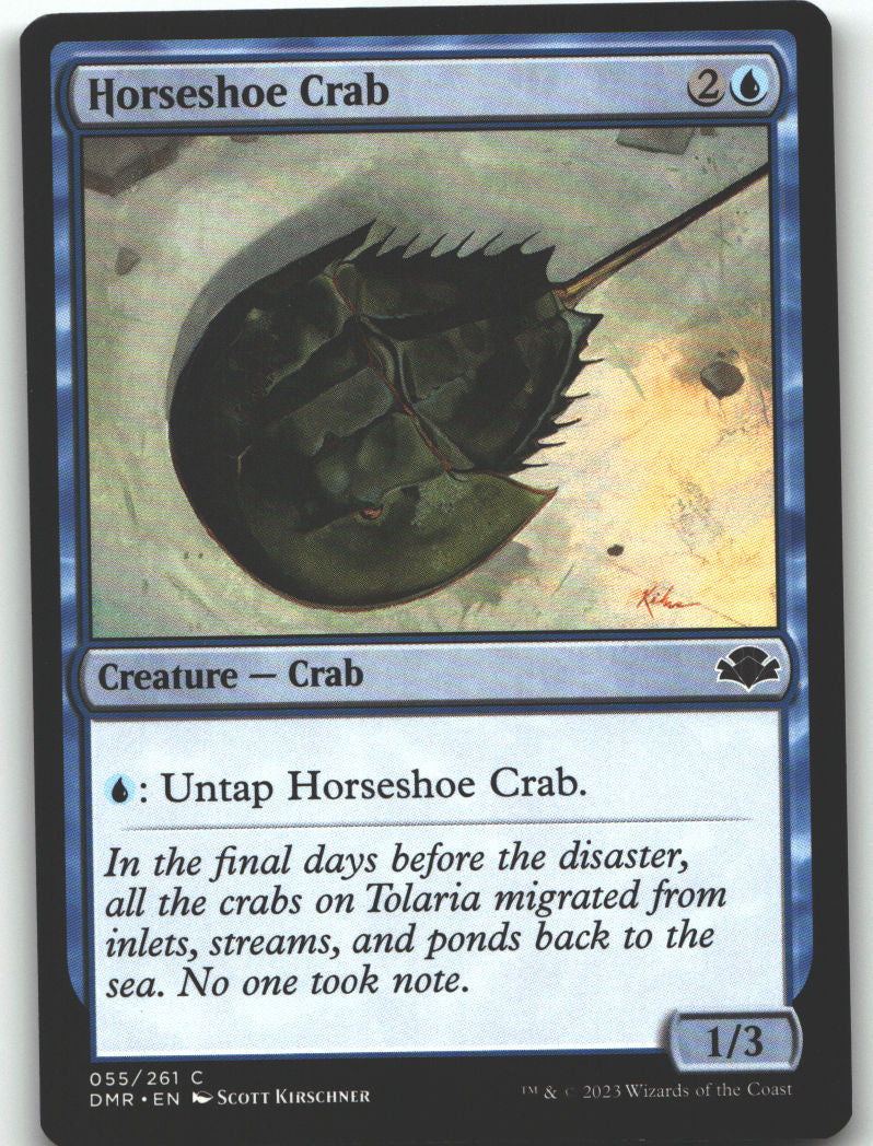 Horseshoe Crab