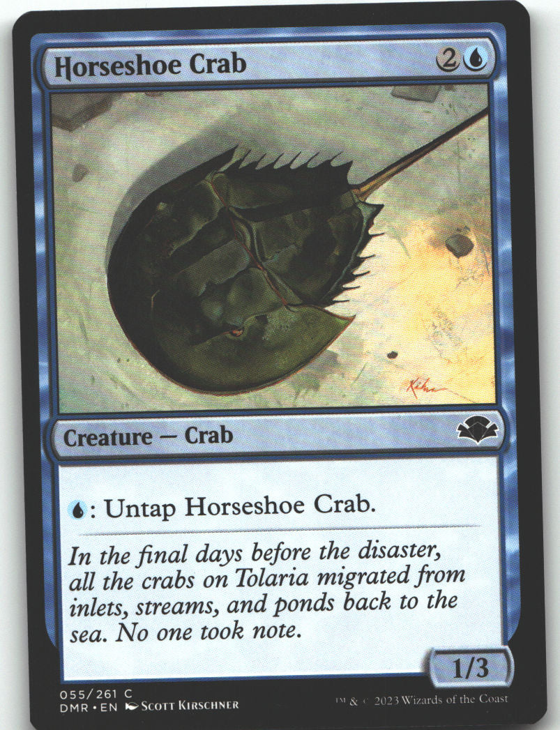 Horseshoe Crab