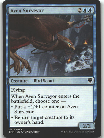 Aven Surveyor