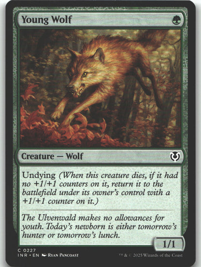 Young Wolf
