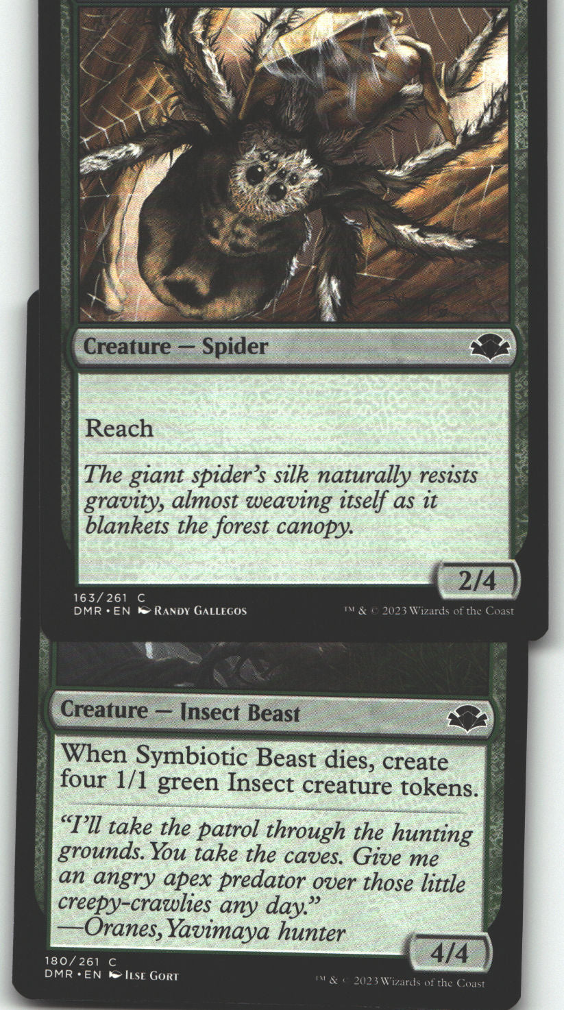 Spider Food