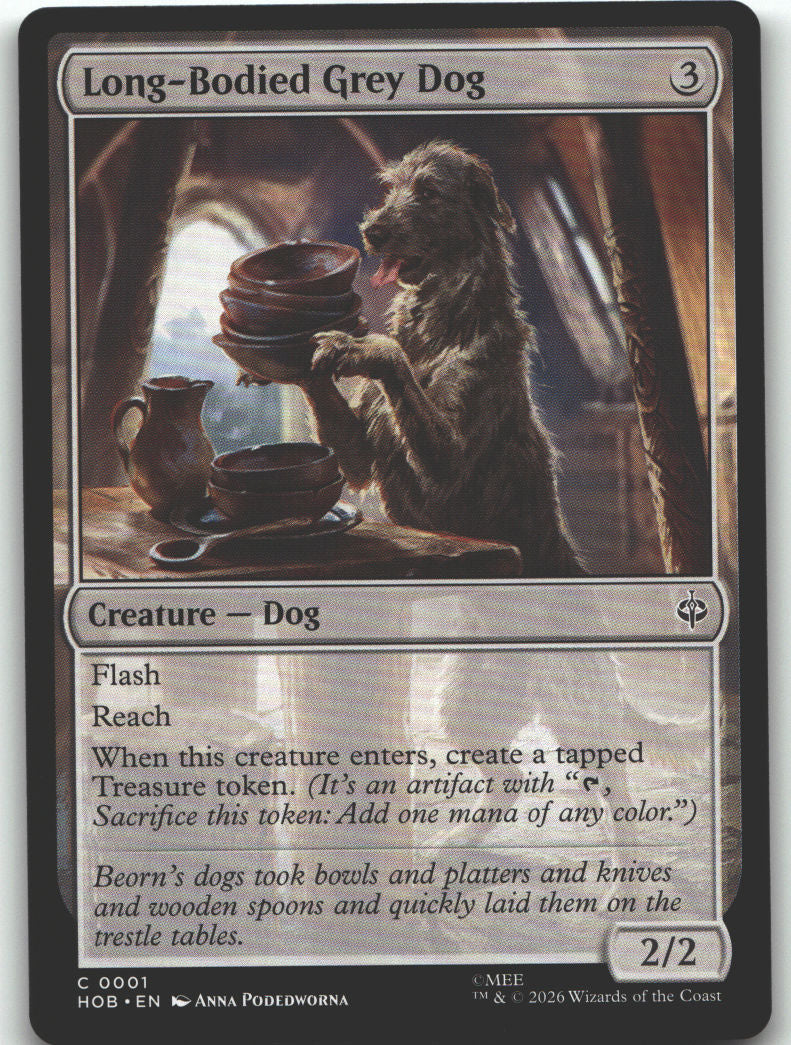 Long-Bodied Grey Dog