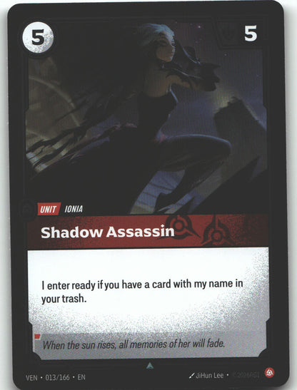 Shadow Assassin