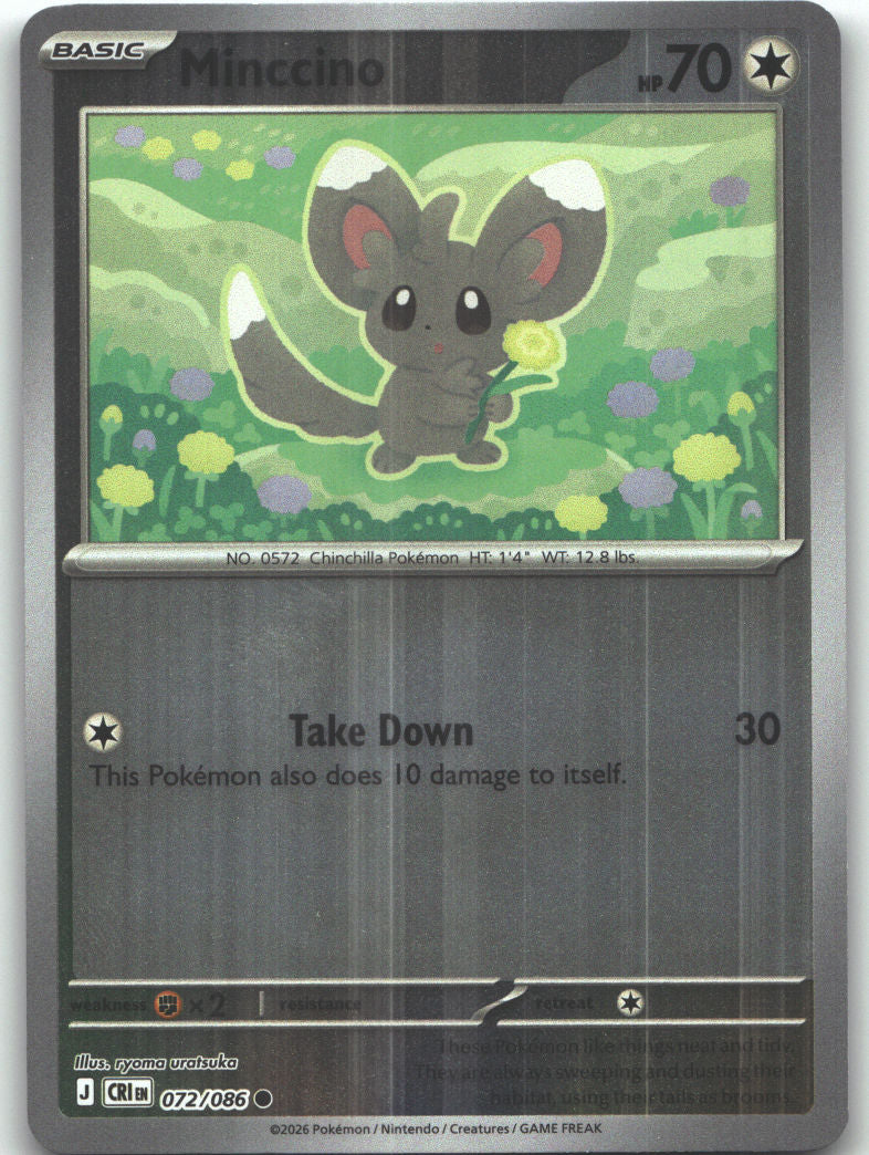 Minccino