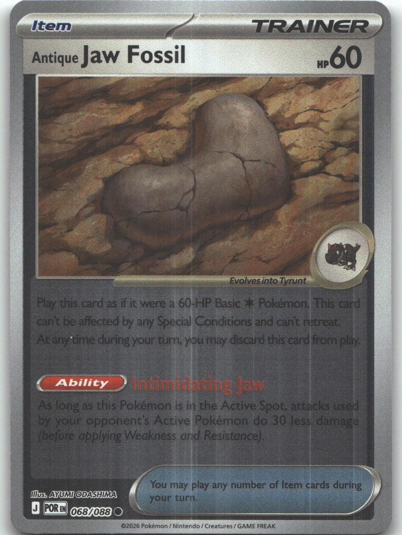Antique Jaw Fossil