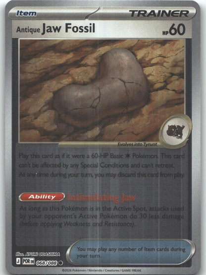 Antique Jaw Fossil