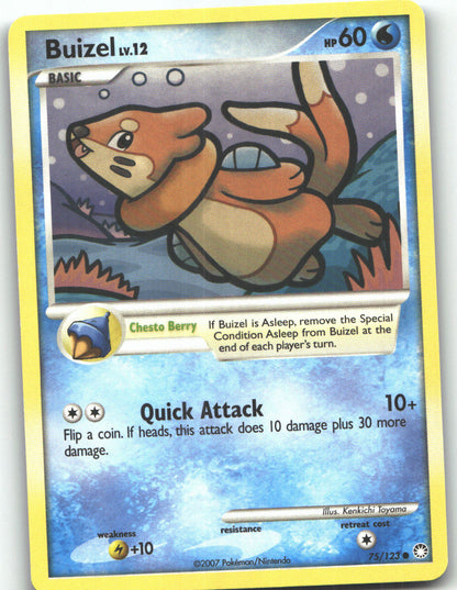 Buizel