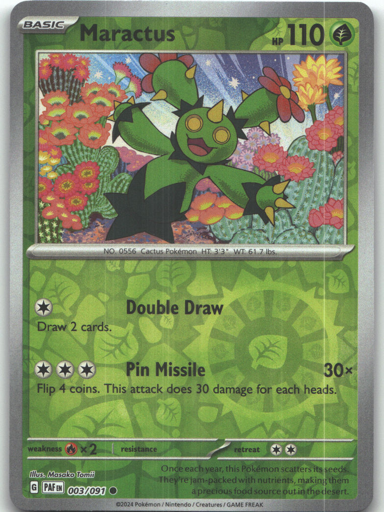 Maractus