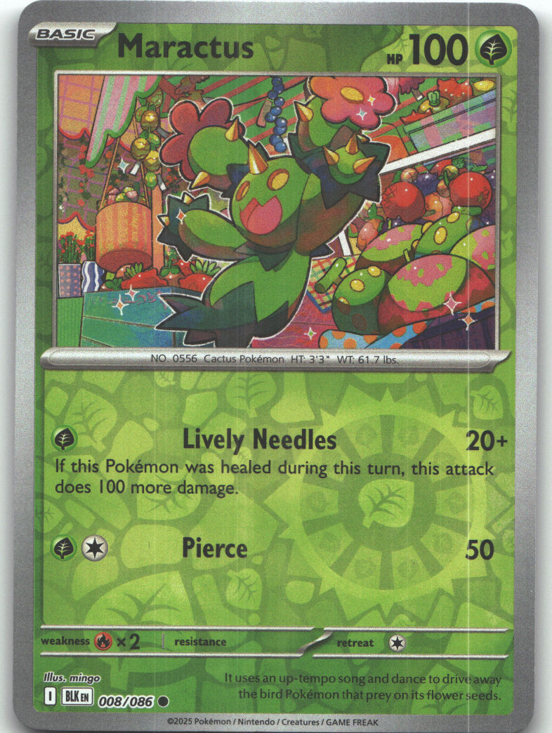 Maractus