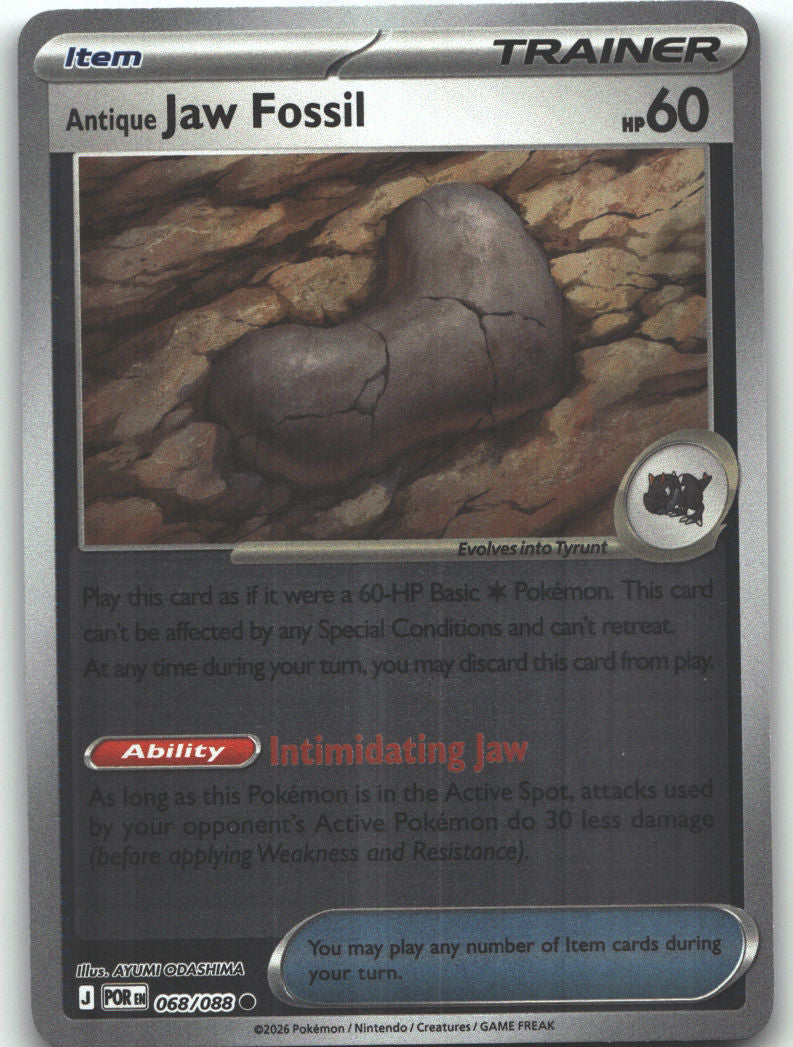 Antique Jaw Fossil