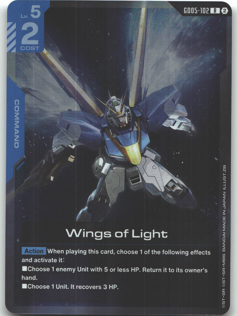 Wings of Light