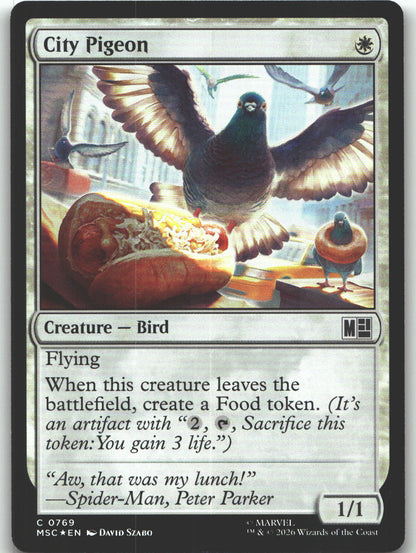 City Pigeon
