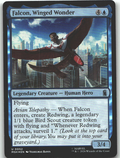 Falcon, Winged Wonder