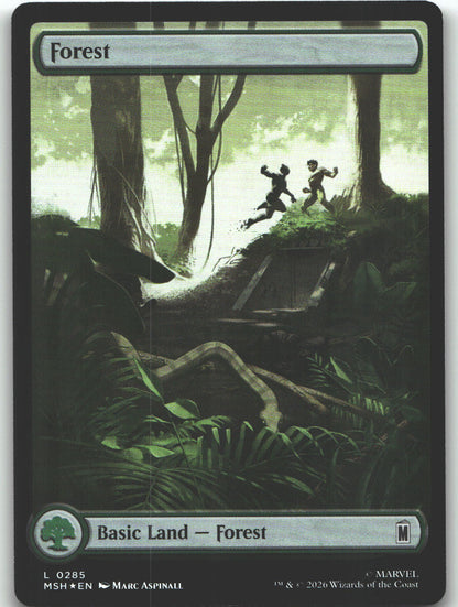 Forest (0285)