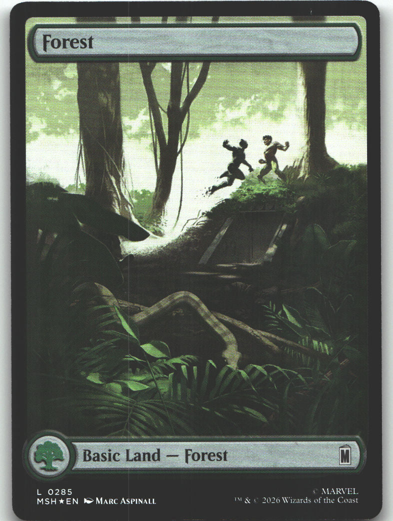 Forest (0285)
