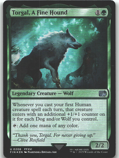 Torgal, A Fine Hound