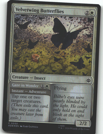 Velvetwing Butterflies