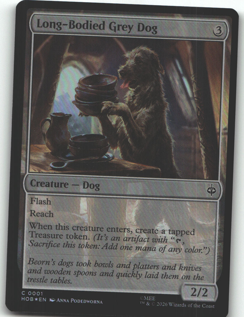 Long-Bodied Grey Dog