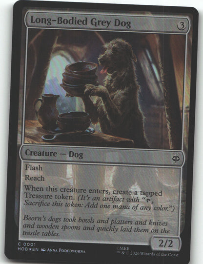 Long-Bodied Grey Dog