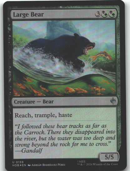 Large Bear