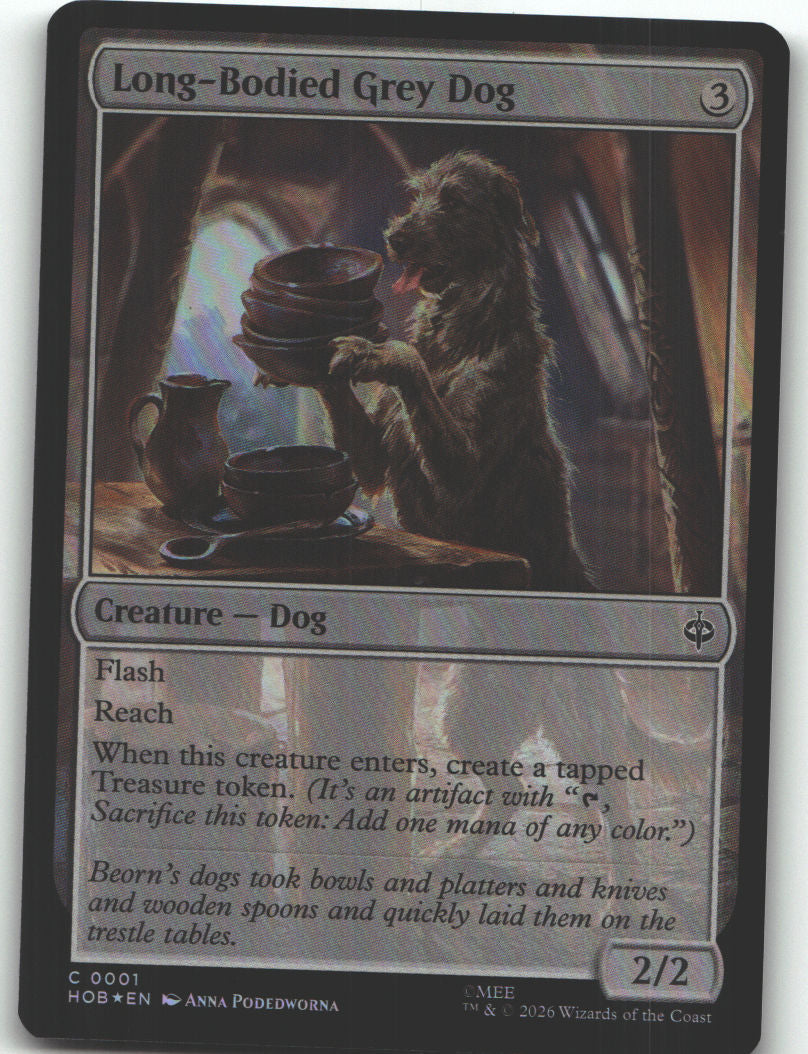 Long-Bodied Grey Dog