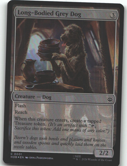 Long-Bodied Grey Dog